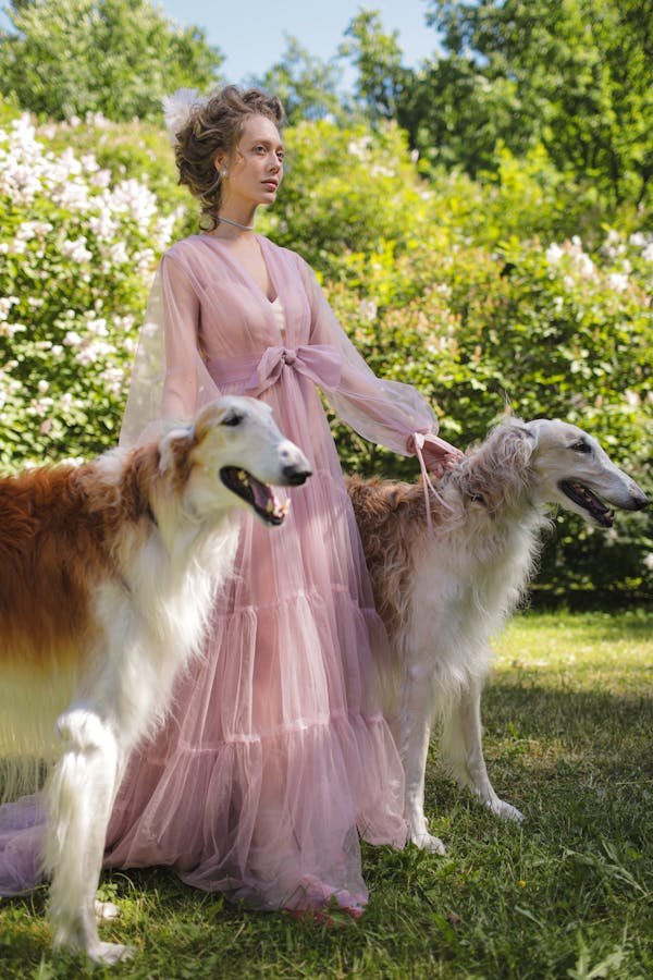 Ladybel : le secret de beauté pour vos animaux adorés